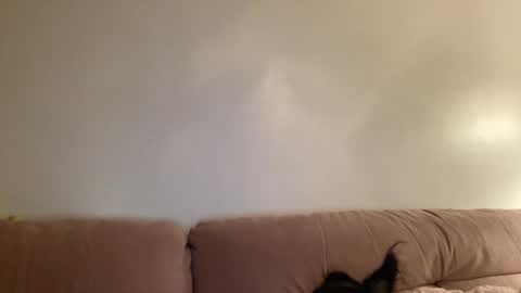 Jess online show from 2, 3, 2026