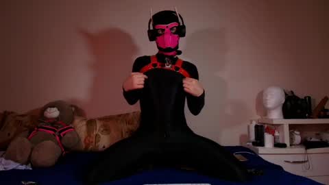 Snapshot of k9_goodboy chatting on 7, 6, 2026 Alex online show from 7, 6, 2026
