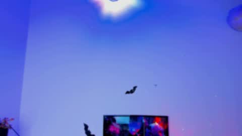 Kaaiiri online show from 3, 1, 2025