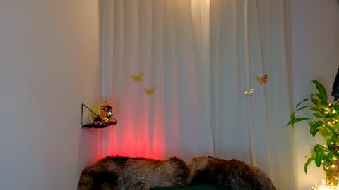 Snapshot of kaaiiri chatting on 18, 6, 2026 Kaaiiri online show from 18, 6, 2026