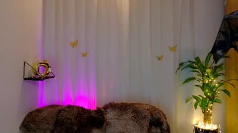Snapshot of kaaiiri chatting on 1, 7, 2026 Kaaiiri online show from 1, 7, 2026