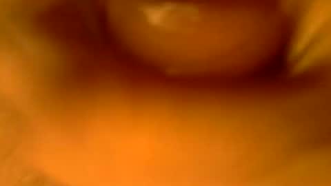Snapshot of kaatingen chatting on 27, 9, 2025 kaatingen online show from 27, 9, 2025