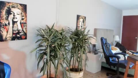 Snapshot of kai_storn chatting on 29, 4, 2026 kai_storn online show from 29, 4, 2026