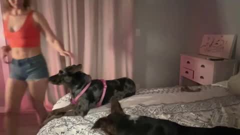 Snapshot of kaileeshy chatting on 12, 2, 2025 Kailee Smile online show from 12, 2, 2025