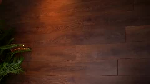 Kaira online show from 13, 3, 2026