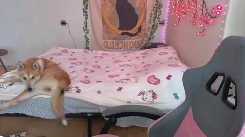 Kessy online show from 12, 3, 2026