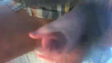 kamabo2 online show from 7, 4, 2026