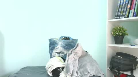 Snapshot of kaory_azumi chatting on 25, 5, 2026 kaory_azumi online show from 25, 5, 2026