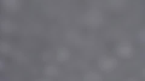 Emma online show from 23, 1, 2025