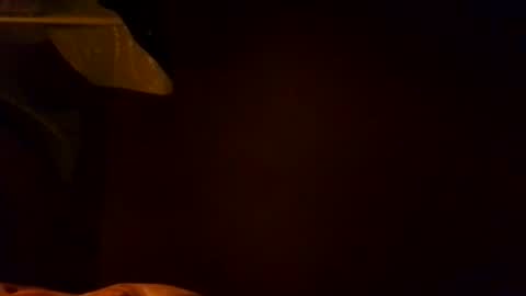 Karla Gonzaless online show from 4, 11, 2025