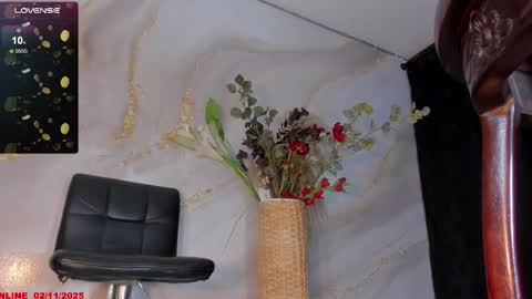 KARLA online show from 2, 11, 2025