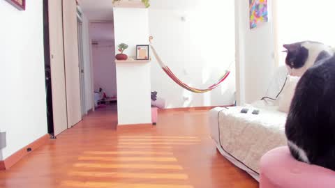 Karlye online show from 22, 1, 2025