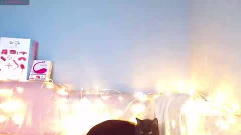 Snapshot of karolina_hottie_ chatting on 12, 1, 2025 Kira online show from 12, 1, 2025