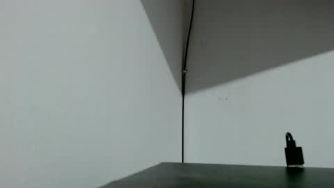 Tamires e Maicon online show from 4, 11, 2025