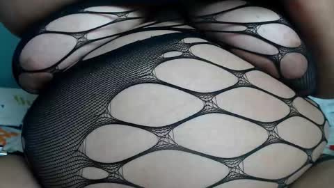 Kata online show from 2, 3, 2026