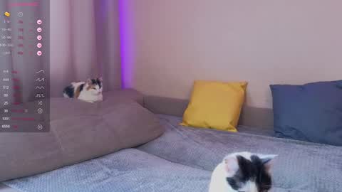 Snapshot of katerinnna chatting on 30, 1, 2025 Katerina online show from 30, 1, 2025