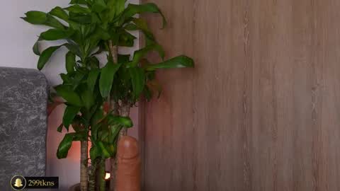 Katie online show from 20, 11, 2025