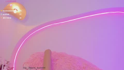 Snapshot of katiepeach_ chatting on 21, 12, 2024 Katy IGPeach kat666 online show from 21, 12, 2024