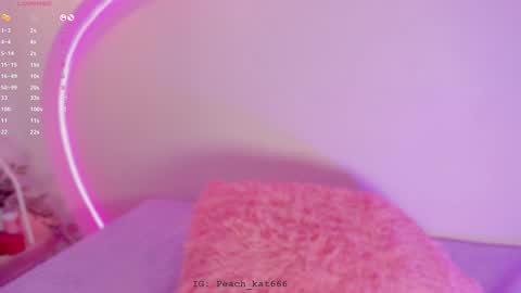 Snapshot of katiepeach_ chatting on 7, 1, 2025 Katy IGPeach kat666 online show from 7, 1, 2025