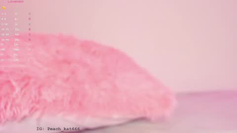 Snapshot of katiepeach_ chatting on 16, 1, 2025 Katy IGPeach kat666 online show from 16, 1, 2025