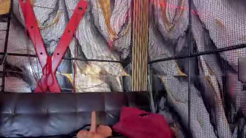 Snapshot of katizaldana chatting on 11, 6, 2026 kati online show from 11, 6, 2026