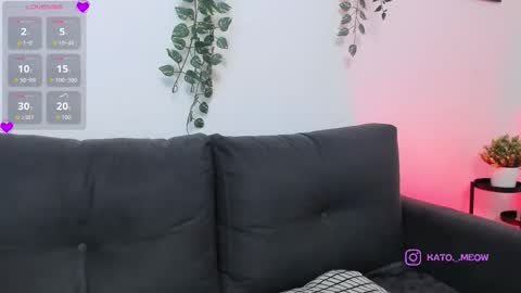 Kato online show from 1, 12, 2025