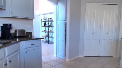 Kat online show from 12, 2, 2026