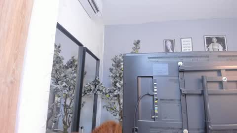 Katerine online show from 18, 1, 2025