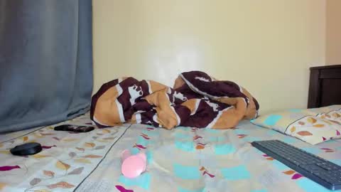 Katy online show from 8, 11, 2025