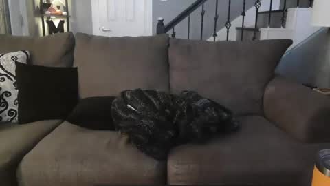 katycouple2003 online show from 5, 10, 2025