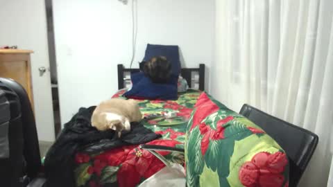  Khawit  online show from 10, 1, 2026