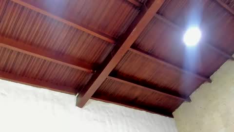 Kaylee sweet online show from 21, 10, 2025