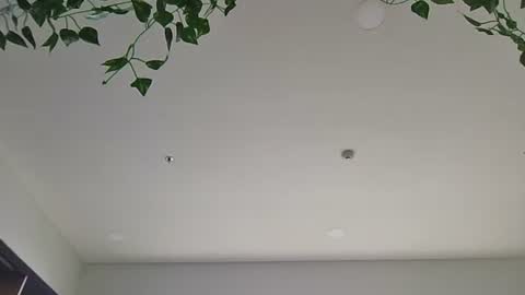 Snapshot of kei3442 chatting on 7, 4, 2026 Sky-pure-Japanese online show from 7, 4, 2026
