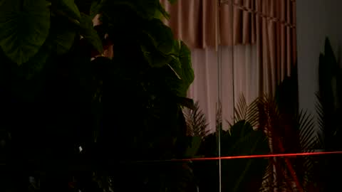 Denise online show from 6, 4, 2026