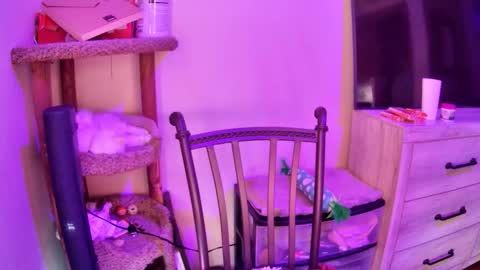 KevKev online show from 13, 4, 2026