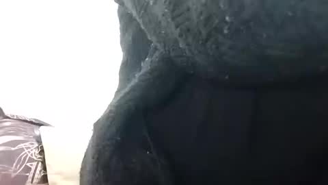 Snapshot of khushisinghh chatting on 14, 12, 2024 khushisinghh online show from 14, 12, 2024