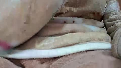 Snapshot of khushisinghh chatting on 22, 1, 2025 khushisinghh online show from 22, 1, 2025