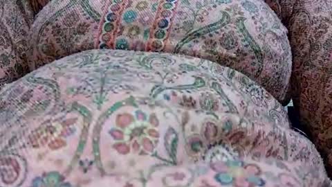 Snapshot of khushisinghh chatting on 24, 1, 2025 khushisinghh online show from 24, 1, 2025