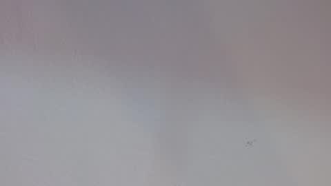 Melody online show from 30, 9, 2025