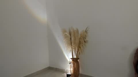 Kim Murphy online show from 27, 2, 2026