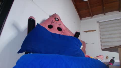 Bella online show from 21, 1, 2025