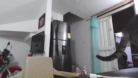 king_russo online show from 17, 1, 2025