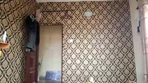 kingemizzy online show from 3, 2, 2026