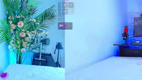    online show from 12, 11, 2025