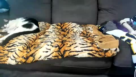 Kinky online show from 4, 2, 2025