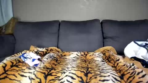 Kinky online show from 11, 2, 2025