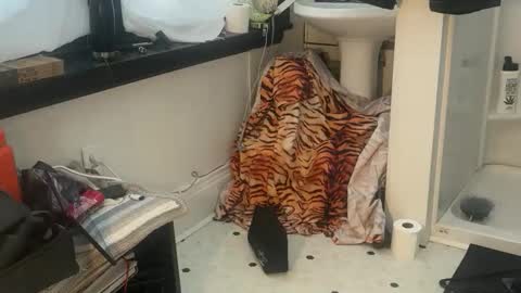 kinkysexpervert online show from 13, 4, 2026