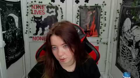 meow online show from 12, 7, 2026