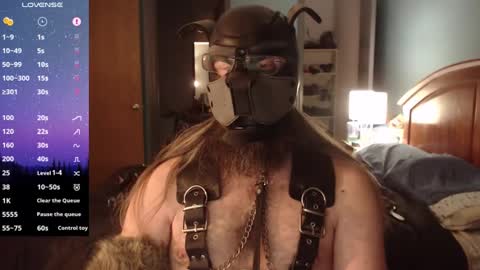 kinkywolf87 online show from 5, 12, 2024