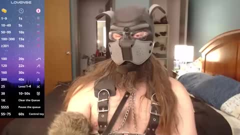 kinkywolf87 online show from 6, 12, 2024